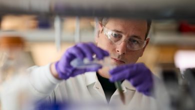 Lilly's sofetabart mipitecan receives U.S. FDA's Breakthrough Therapy designation for the treatment of certain patients with platinum-resistant ovarian cancer