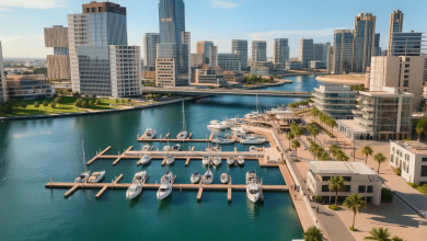 Render of ALMA Destination